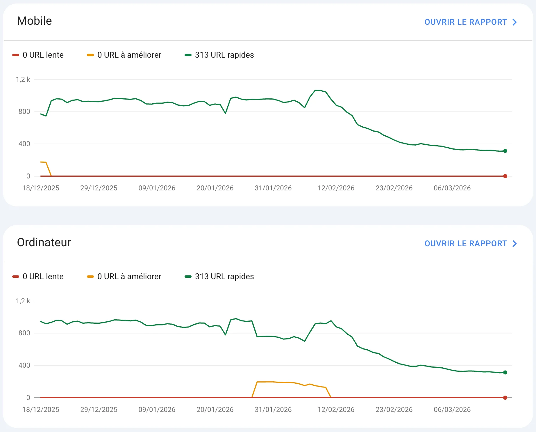 Rapport Core Web Vitals Google Search Console — 313 URL rapides, 0 URL lente — SM3 Solutions Web